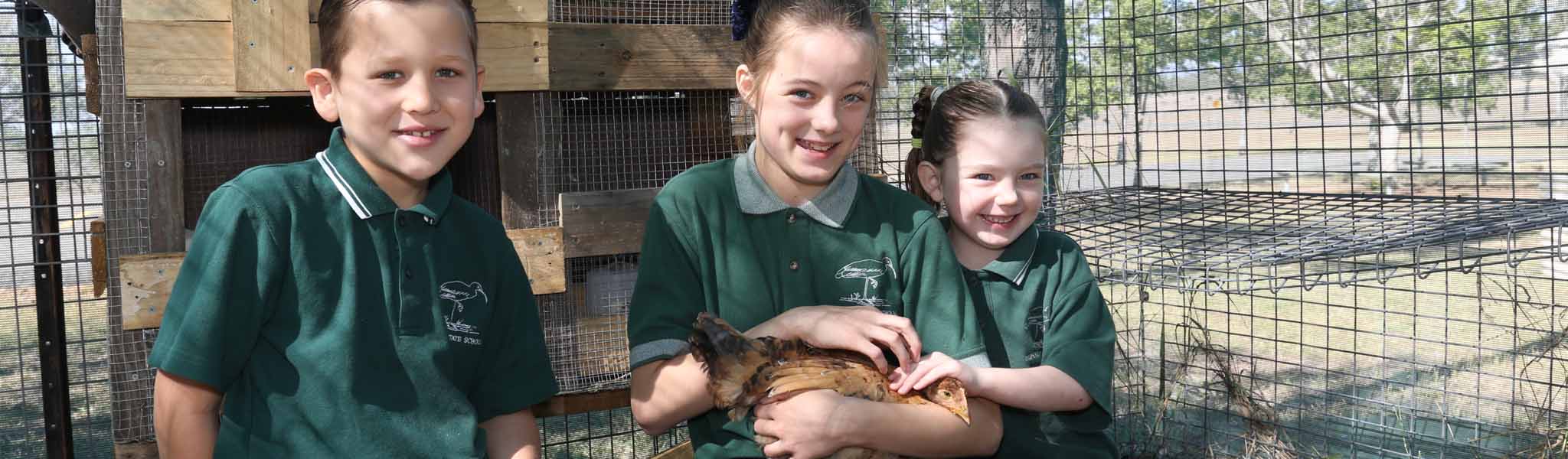 Students and chickens